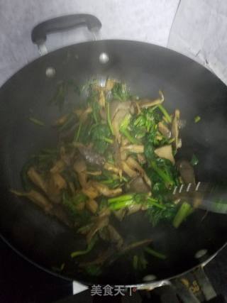 平菇炒菠菜的做法步骤：6