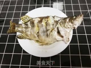 清蒸鲑鱼的做法步骤：2