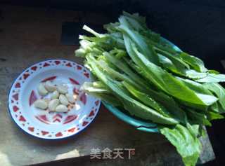 蒜香油麦菜的做法步骤：1