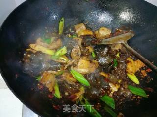 木耳回锅肉的做法步骤：18