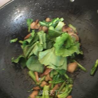 肉片炒苔菜的做法步骤：10
