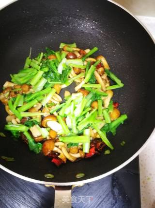 滑子菇炒菜心的做法步骤：7