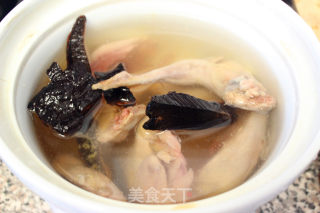 灵芝鹌鹑汤的做法步骤：7