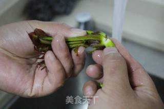 春天最时令——香椿煎蛋的做法步骤：2