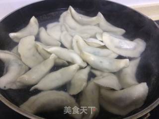 荠菜猪肉水饺的做法步骤：7
