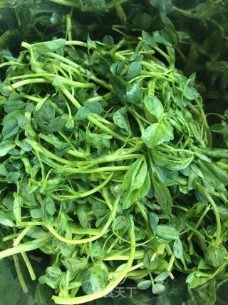 春季野菜：凉拌苜蓿的做法步骤：1