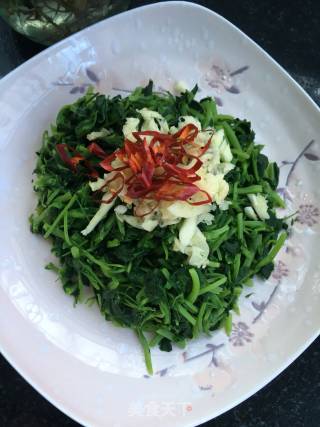 春季野菜：凉拌苜蓿的做法步骤：7
