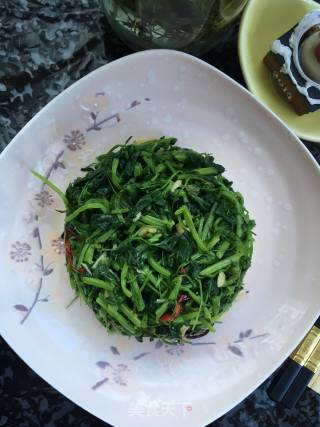 春季野菜：凉拌苜蓿的做法步骤：9