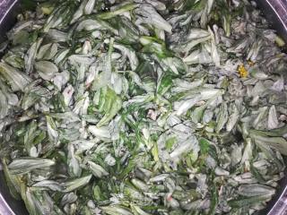 春季野菜#火草饼#的做法步骤：2