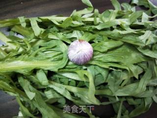 蒜香苦麦菜的做法步骤：1