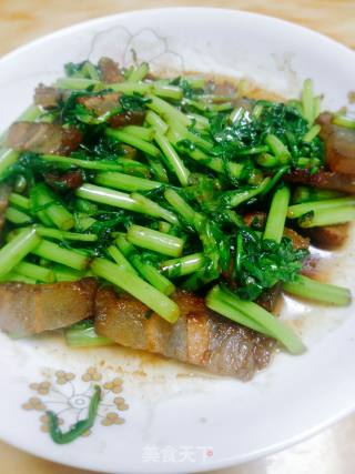 春季野菜～茼蒿炒腊肉的做法步骤：7
