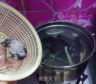 乌骨鸡枸杞汤的做法步骤：5