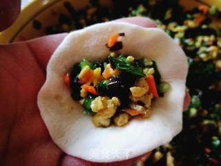 韭菜鸡蛋木耳素饺的做法步骤：15