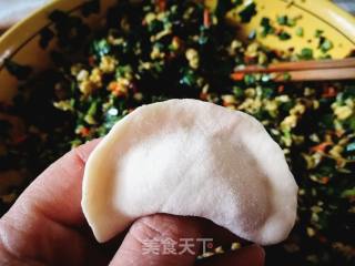 韭菜鸡蛋木耳素饺的做法步骤：16