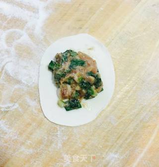 海肠猪肉水饺的做法步骤：8