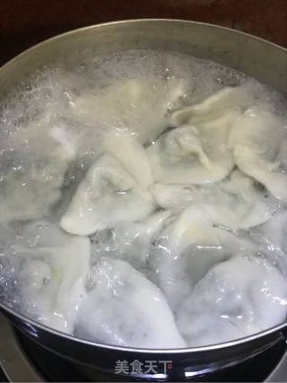 猪肉荠菜饺子的做法步骤：4