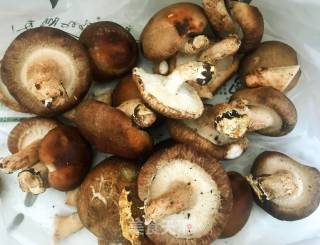香菇鹌鹑蛋的做法步骤：1