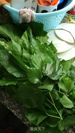 #春季野菜#-桑叶瘦肉汤的做法步骤：1