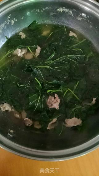 #春季野菜#-桑叶瘦肉汤的做法步骤：8