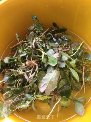 苦菜花生羹的做法步骤：3