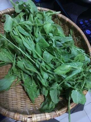 春季野菜----蒜香豆豉豌豆尖的做法步骤：1