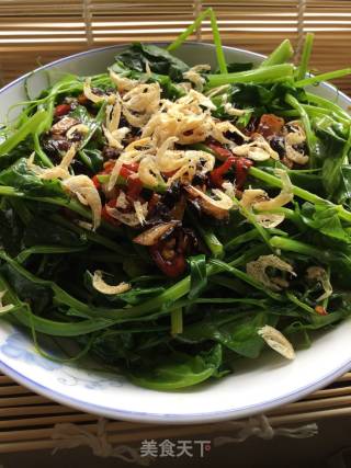 春季野菜----蒜香豆豉豌豆尖的做法步骤：10