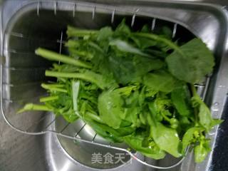 素炒菜苔的做法步骤：1