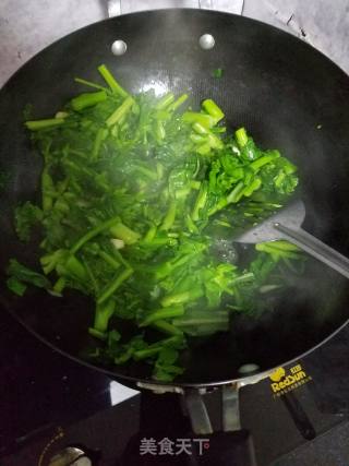 素炒菜苔的做法步骤：4