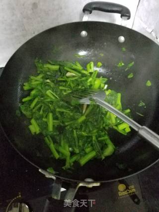 素炒菜苔的做法步骤：5