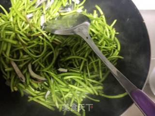 臭干炒野芦蒿的做法步骤：4