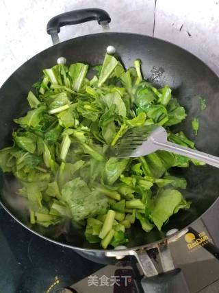 蒜蓉菜苔的做法步骤：4