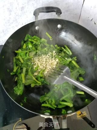 蒜蓉菜苔的做法步骤：5