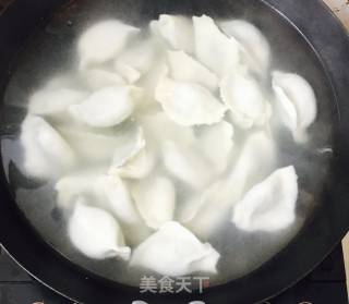 茴香菜猪肉饺子的做法步骤：7