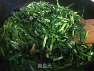韭菜炒螺丝的做法步骤：6