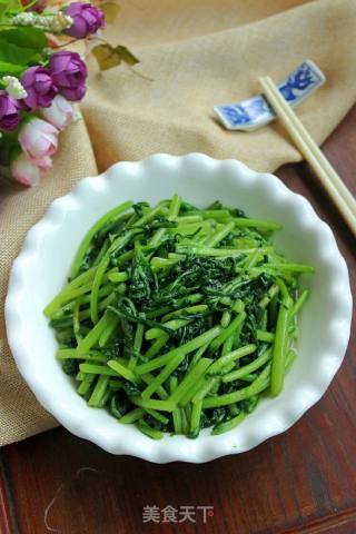 炒蓬蒿菜的做法步骤：6