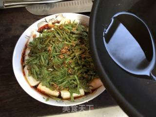 香椿拌豆腐#春季野菜#的做法步骤：8