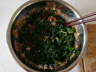 春季野菜 荠菜包子的做法步骤：12