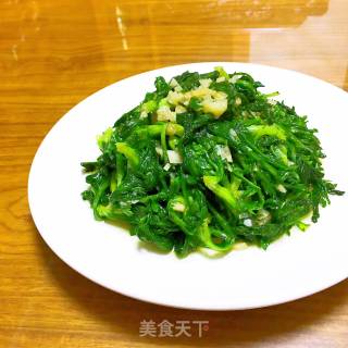 蒜香茼蒿的做法步骤：6