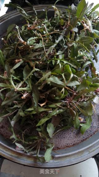 苦菜香茶的做法步骤：2
