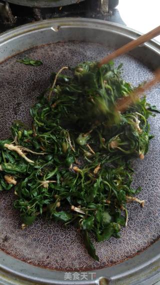 苦菜香茶的做法步骤：4
