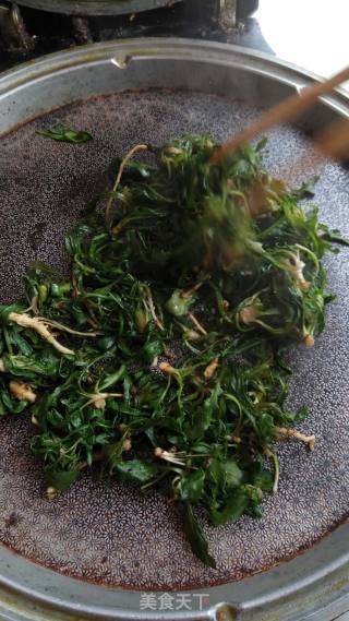 苦菜香茶的做法步骤：5