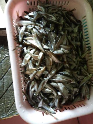 炸小河鱼（农家特产）的做法步骤：1