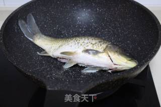 番茄鲫鱼汤的做法步骤：4