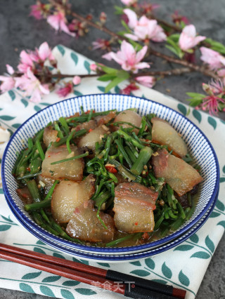 野芹菜炒腊肉的做法步骤：14
