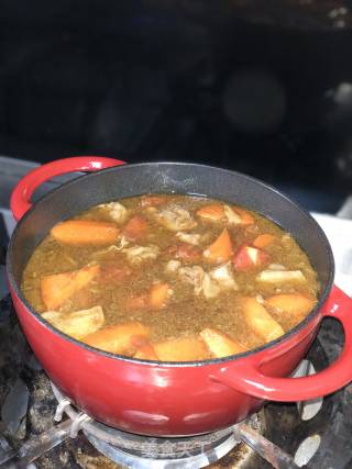 番茄胡萝卜炖牛腩的做法步骤：10