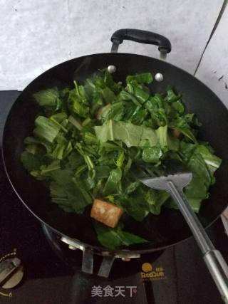 青菜豆腐的做法步骤：5