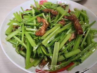 水芹肉丝的做法步骤：4
