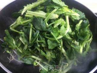 清炒豆芽青菜的做法步骤：4