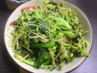 清炒豆芽青菜的做法步骤：6