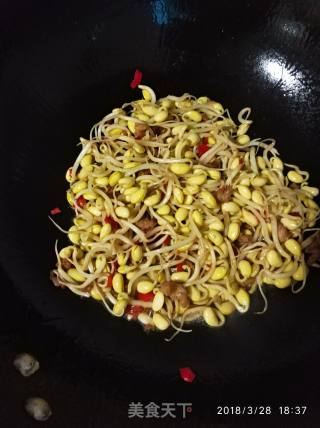 肉末黄豆芽的做法步骤：5